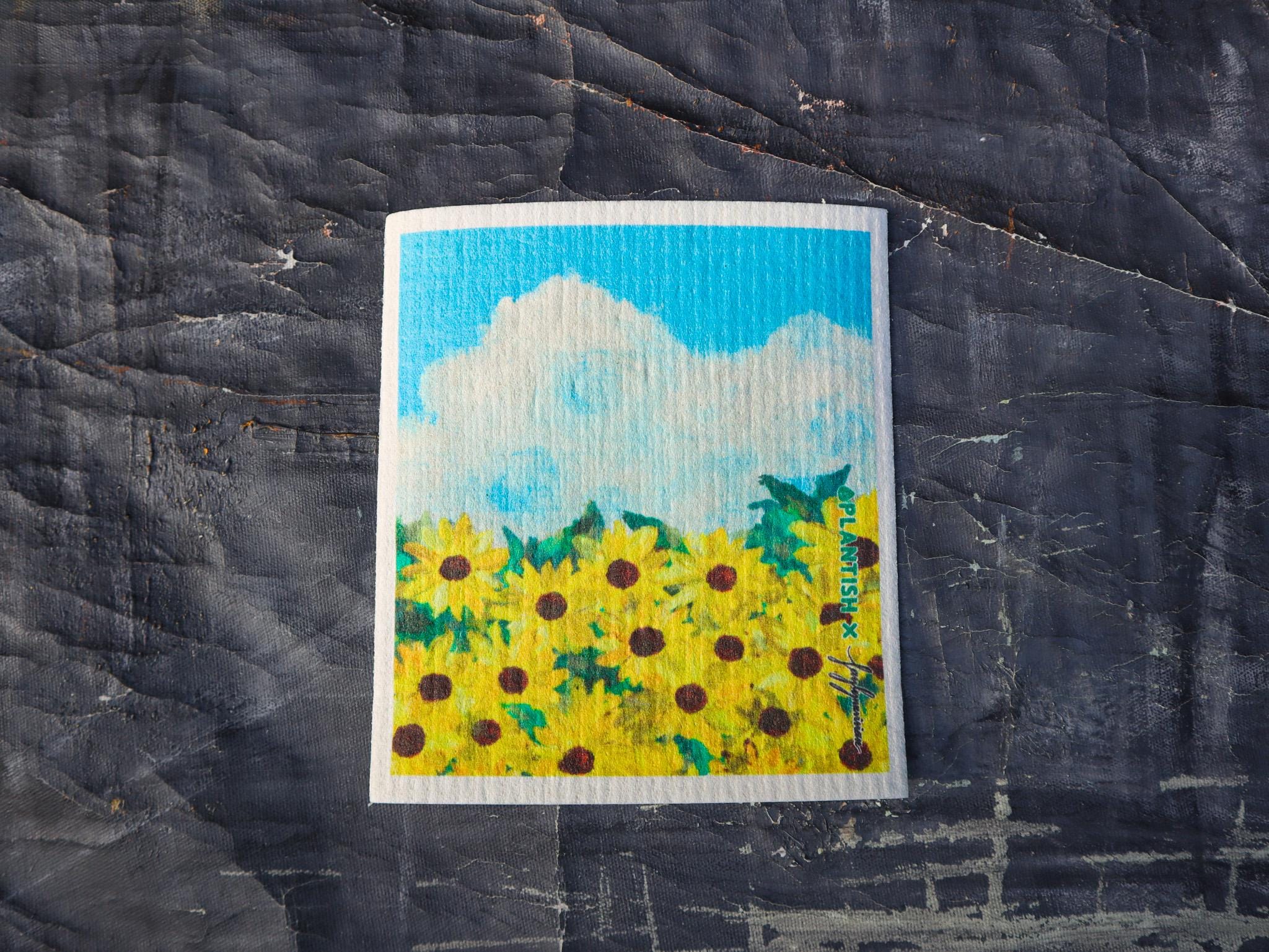 Picturesque Artistry - Swedish Sponge Cloth Set